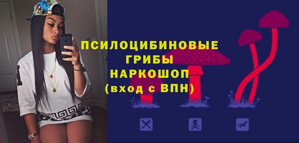 твердый Краснослободск