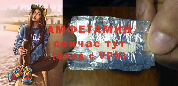 твердый Краснослободск