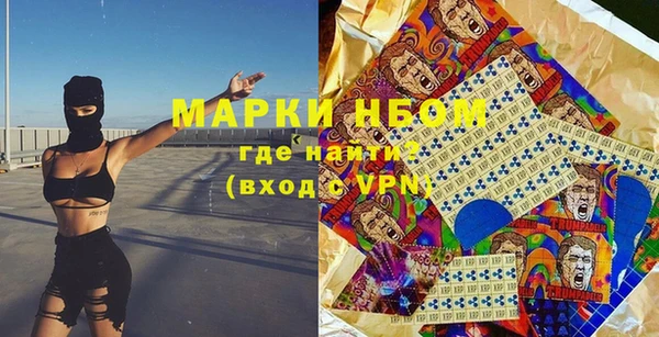 твердый Краснослободск