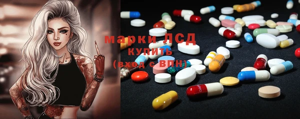 твердый Краснослободск